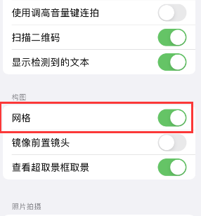 西昌镇苹果手机维修网点分享iPhone如何开启九宫格构图功能 