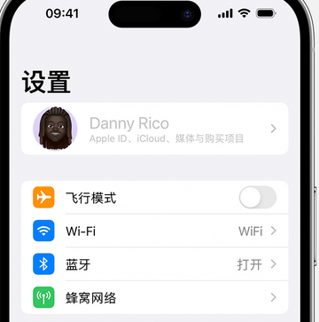 西昌镇appleID维修服务iPhone设置中Apple ID显示为灰色无法使用 