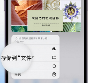 西昌镇apple维修中心分享iPhone文件应用中存储和找到下载文件