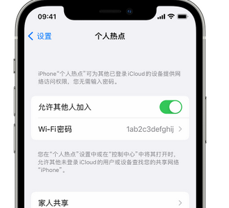 西昌镇apple服务站点分享iPhone上个人热点丢失了怎么办