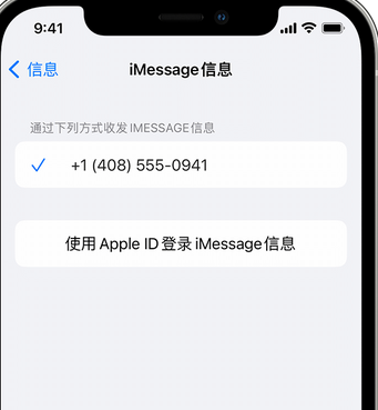 西昌镇apple维修iPhone上无法正常发送iMessage信息