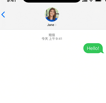 西昌镇apple维修iPhone上无法正常发送iMessage信息