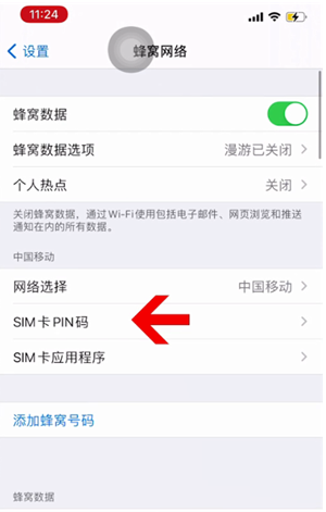 西昌镇苹果14维修网分享如何给iPhone14的SIM卡设置密码 