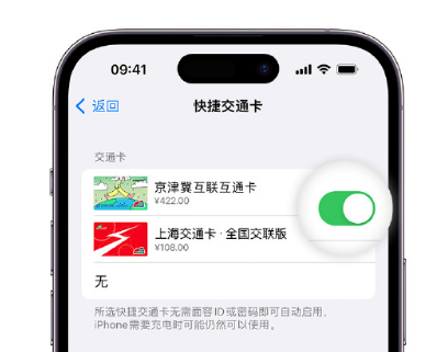 西昌镇apple维修点分享iPhone上更换Apple Pay快捷交通卡手绘卡面 