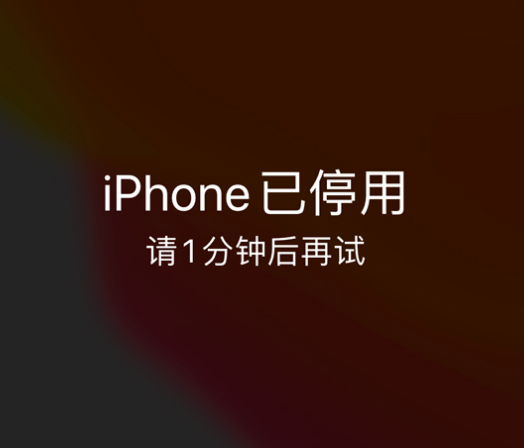 西昌镇苹果手机维修分享:iPhone 显示“不可用”或“已停用”怎么办？还能保留数据吗？ 