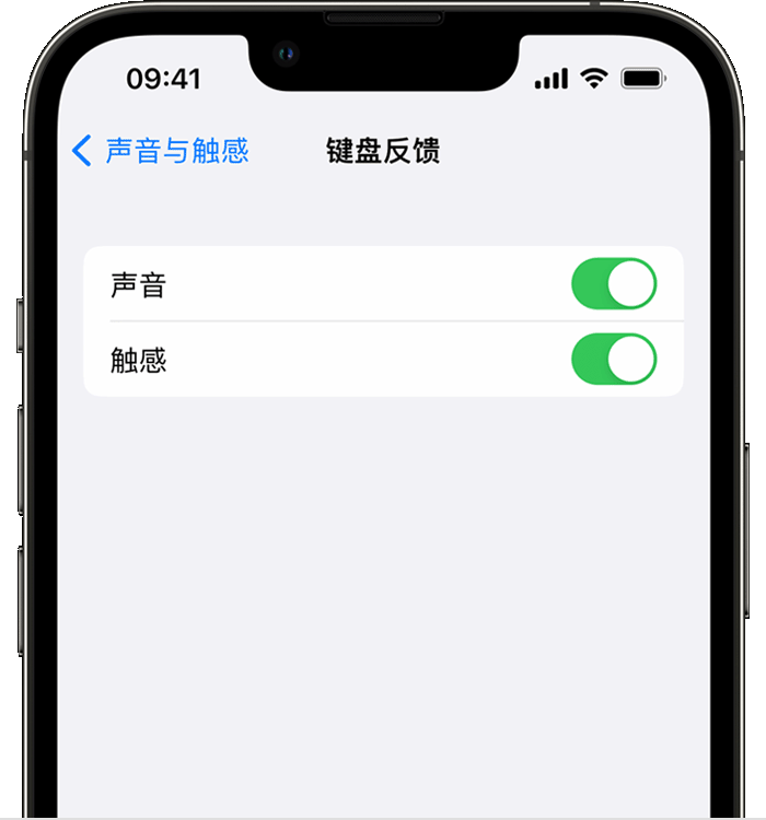 西昌镇苹果14维修店分享如何在 iPhone 14 机型中使用触感键盘 