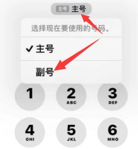 西昌镇苹果14维修店分享iPhone 14 Pro Max使用副卡打电话的方法 