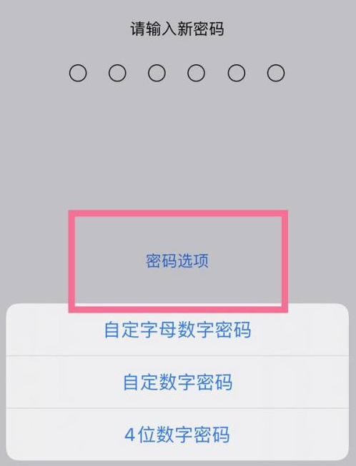 西昌镇苹果14维修分享iPhone 14plus设置密码的方法 