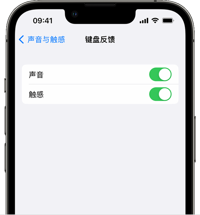 西昌镇苹果14维修分享iPhone 14 系列机型如何开启键盘声音或触感反馈 