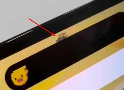 西昌镇苹果14维修分享iPhone 14 Pro Max灵动岛怎么养宠物 