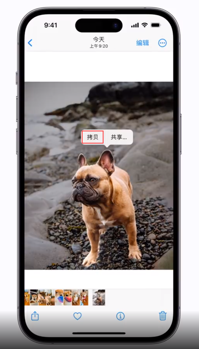 西昌镇苹果手机维修分享 iOS 16 自带一键抠图功能 