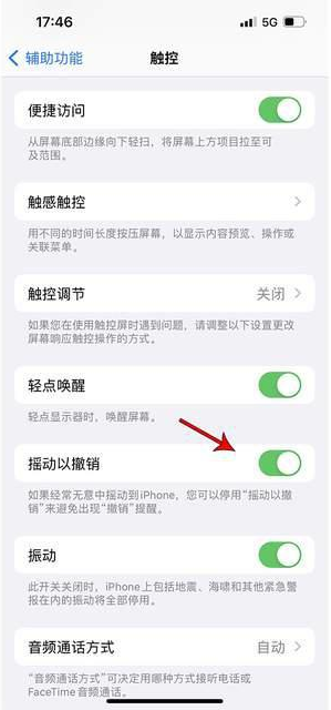 西昌镇苹果手机维修分享iPhone手机如何设置摇一摇删除文字 