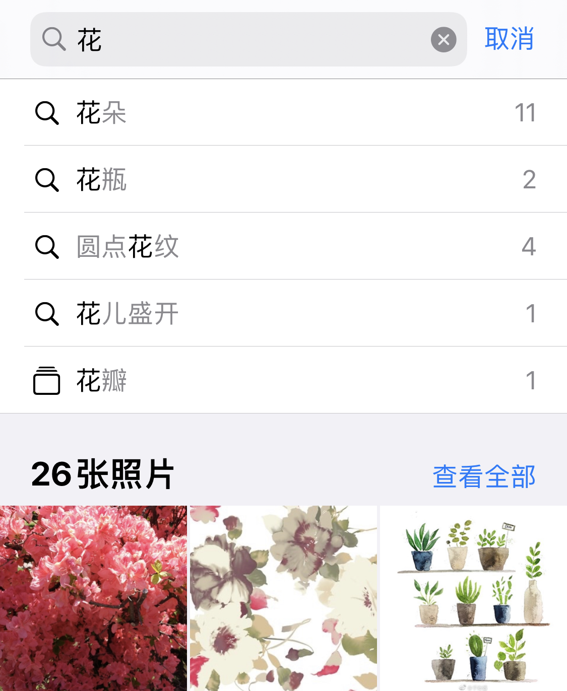 西昌镇苹果手机维修分享iPhone 小技巧 